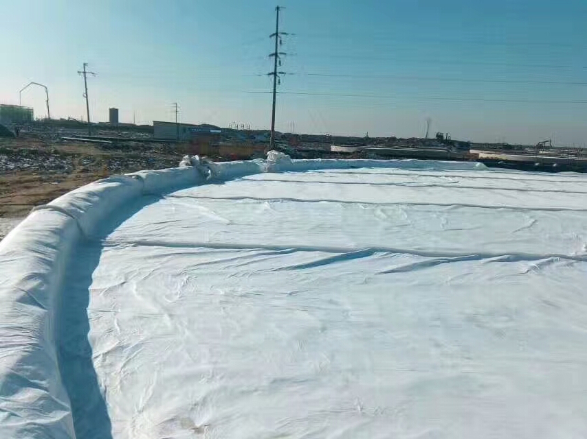 什么才是好桃花视频在线观看免费-桃花视频在线观看免费