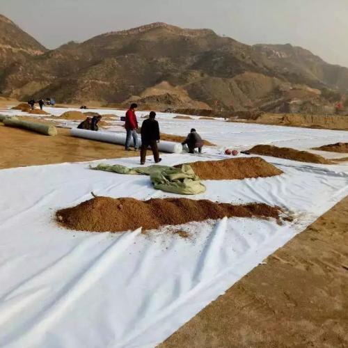 养护桃花视频在线观看免费价格