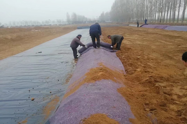 桃花视频在线观看免费在雨季铺设的注意事项