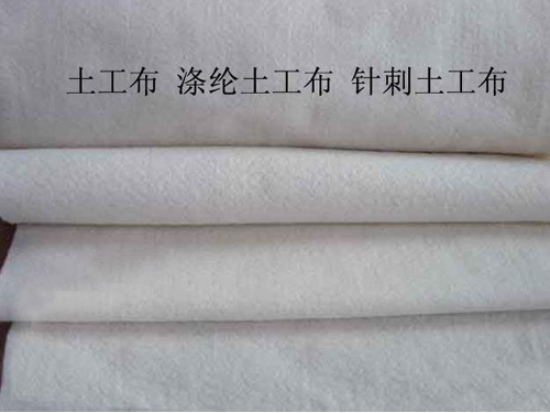 涤沦桃花视频在线观看免费