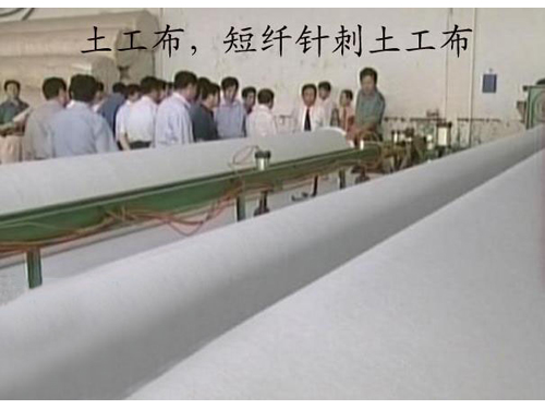 短刺桃花视频在线观看免费